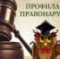 Профилактика правонарушений и укрепление общественного порядка и общественной безопасности. - Уярский район