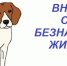 Об отлове безнадзорных животных. - Уярский район